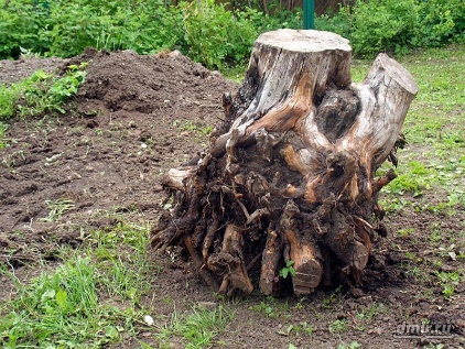 Удаление корня дерева